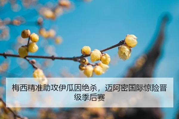 梅西精准助攻伊瓜因绝杀，迈阿密国际惊险晋级季后赛