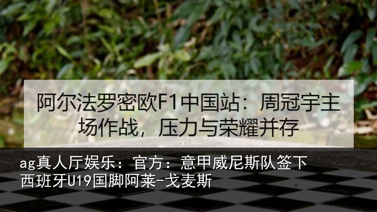 ag真人厅娱乐:官方:意甲威尼斯队签相关情况-戈麦斯