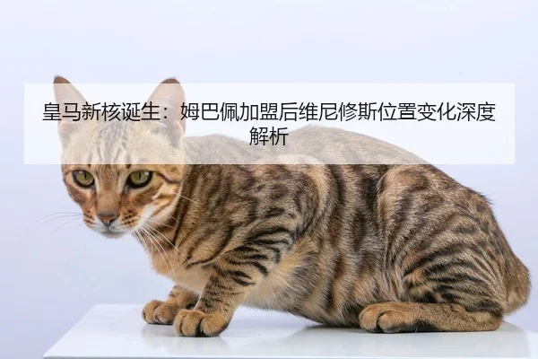 皇马新核诞生：姆巴佩加盟后维尼修斯位置变化深度解析