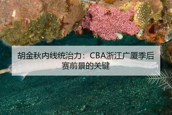 胡金秋内线统治力：CBA浙江广厦季后赛前景的关键