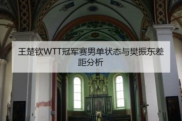 王楚钦WTT冠军赛男单状态与樊振东差距分析