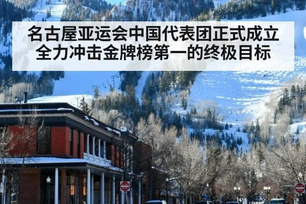 名古屋亚运会中国代表团正式成立 全力冲击金牌榜第一的终极目标