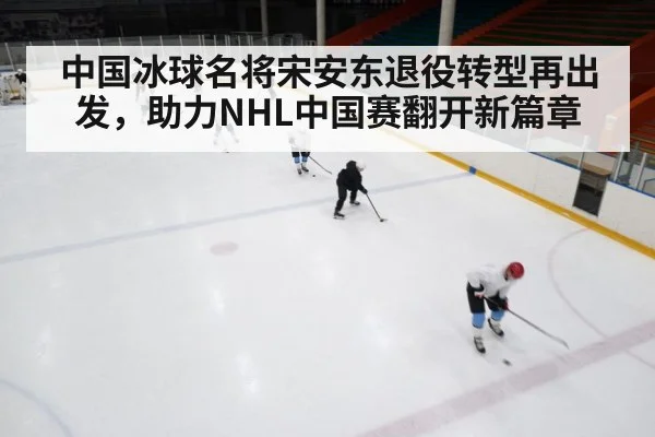 ice hockey rink game